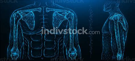 Polygonal Vector Illustration Of A Human Brain On A Dark Background