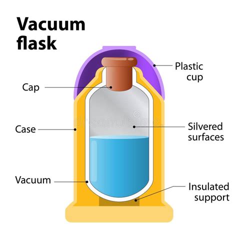 Vacuum Flask Or Dewar Flask Stock Vector Illustration Of Physics