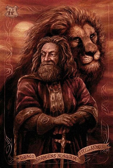 Godric Gryffindor Harry Potter Ilustraciones Harry Potter Fondos De