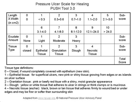 What Is The Braden Scale Pressure Ulcer Scale And Wound Care Images