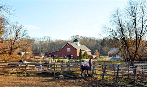 Living in Old Brookville, L.I. — Minimizing Impact - The New York Times