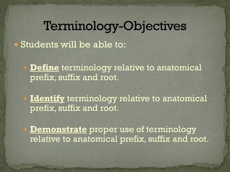 Anatomical Prefix Suffix And Root Ppt Download