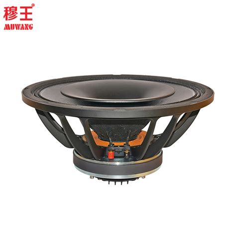 Big Horn Speakers