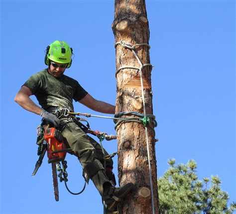 Arborist Rope And Climbing Equipment Arborist Rigging