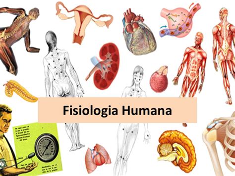 El mundo integrador de la Fisiología