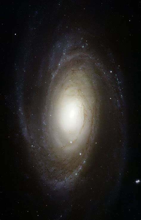 Hubble Photographs Grand Design Spiral Galaxy M81 The Sharpest Image