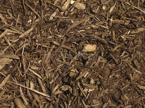 Mulch Background Stock Photo Image Of Groundskeeping Outdoors 755182