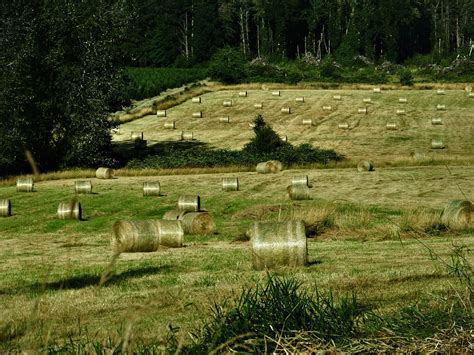 Field Landscape Meadow Free Photo On Pixabay Pixabay