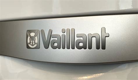 vaillant  fault code    clear