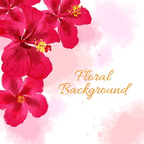 Premium Vector Hibiscus Flower Background