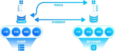 网络信创国产化改造 易云科技