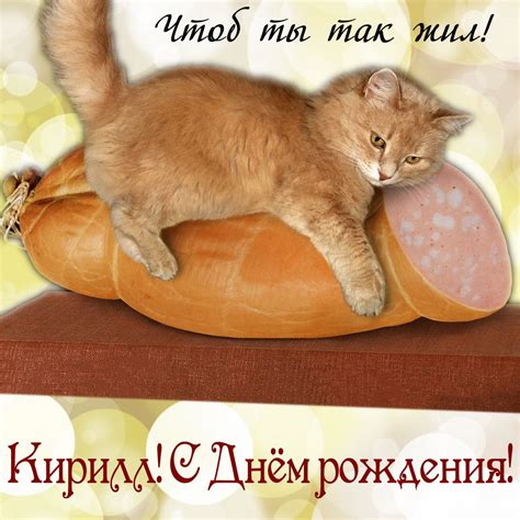 Картинка на День рождения Кириллу с котиком на колбасе