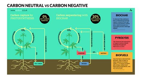 Carbon Neutral Organic Hemp Cultivation In Alicante Ardoa Organics