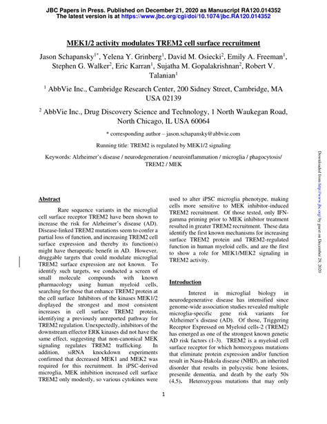 Pdf Mek Activity Modulates Trem Cell Surface Recruitment