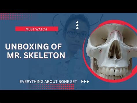 Unboxing Of Mr Skeleton Approximate Cost Of Bone Set Of MBBS 1st Year