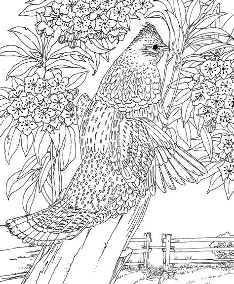 Mountain Landscape Coloring Pages At Free Printable