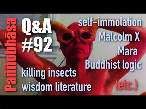 Question Answer 92 From Schopenhauer Vs Nietzsche To The Left Hand