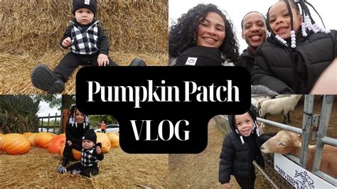 VLOG PUMPKIN PATCH YouTube