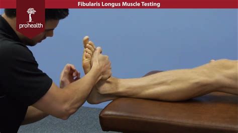 Fibularis Longus Muscle Test Palp Dr Vizniak Muscle Manual - YouTube