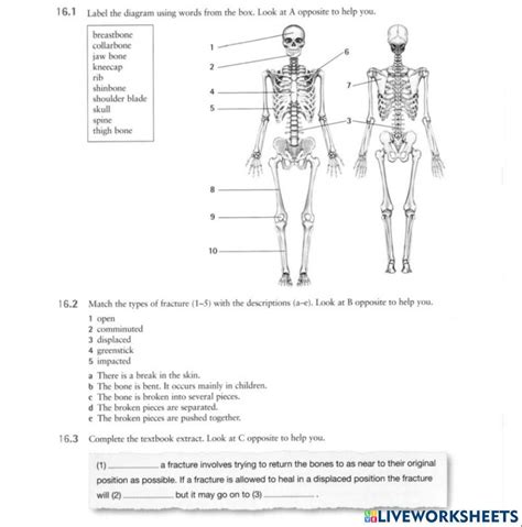 Bones Online Pdf Exercise For Pre Int Live Worksheets