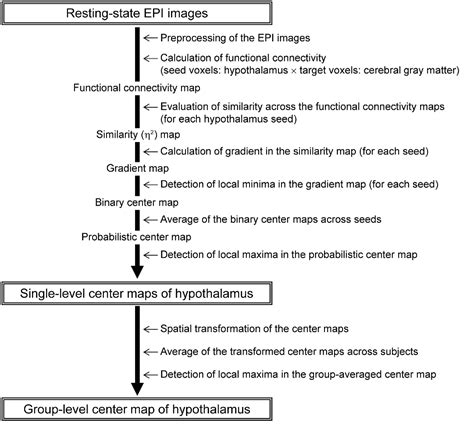 Figure 2 From Functional Subdivisions Of The Hypothalamus Using Areal