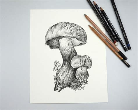 ORIGINAL Mushroom Pencil Drawing Mushroom Wall Art Forest - Etsy