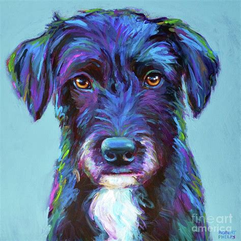 Winston The Black Schnauzer Painting By Robert Phelps Fine Art America