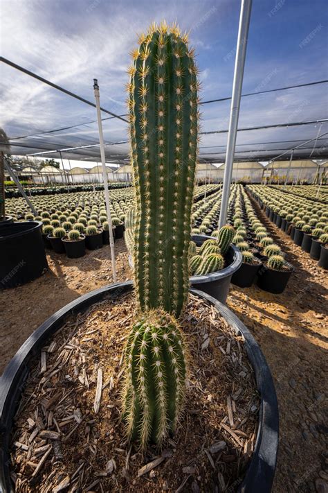 Premium Photo | The soilfood nexus how soil quality impacts nutritional