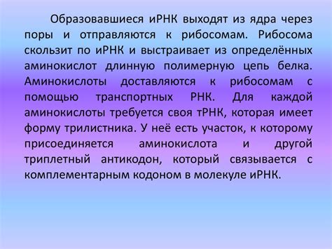 Пластический обмен - презентация онлайн