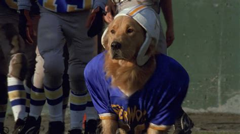 Air Bud Entertainment