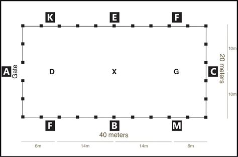 Dressage Arena Printable