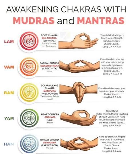 Root R Chakras