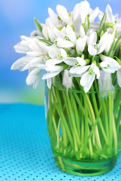 Premium Photo Beautiful Snowdrops In Vase On Table On Bright Background