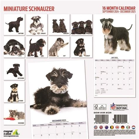 Miniatuur Schnauzer Kalender Kopen Bestel Eenvoudig Online