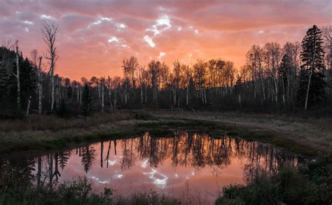 Green Leafed Trees Landscape Clouds Lake Forest Hd Wallpaper