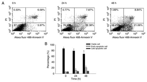 Quercetin Induced Apoptosis Of Human Oral Cancer SAS Cells Through