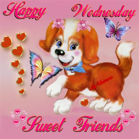 Happy Dog Happy Wednesday Sweet Friends Pictures Photos And Images