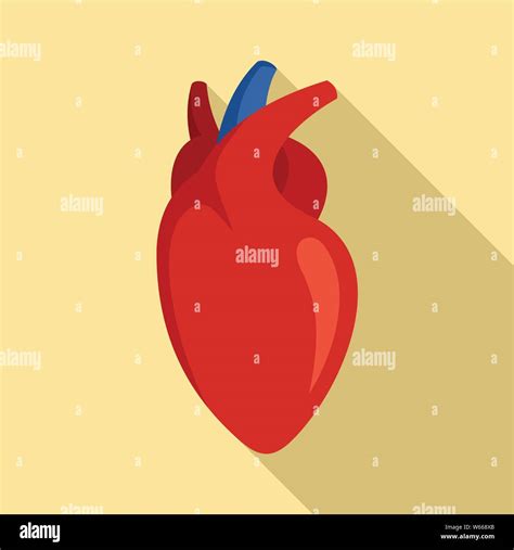 Human Heart Icon Flat Illustration Of Human Heart Vector Icon For Web