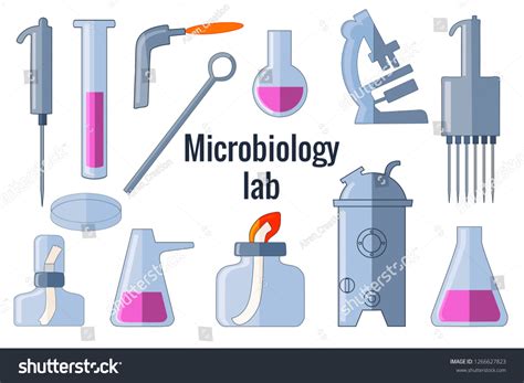 Microbiology Lab Equipment Set Microscope Pipette Stock Vector (Royalty Free) 1266627823 ...