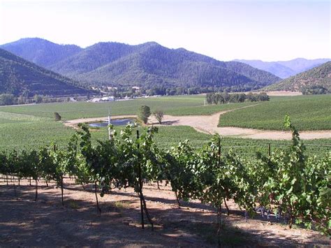 Del Rio Vineyards is the largest vineyard in southern Oregon | Oregon ...