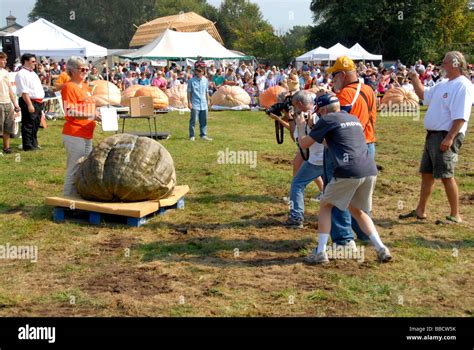 Giant Squash At Giant Pumpkin Weigh Off Warren Rhode Island 2007