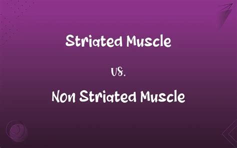 Striated Muscle vs. Non Striated Muscle: What’s the Difference?