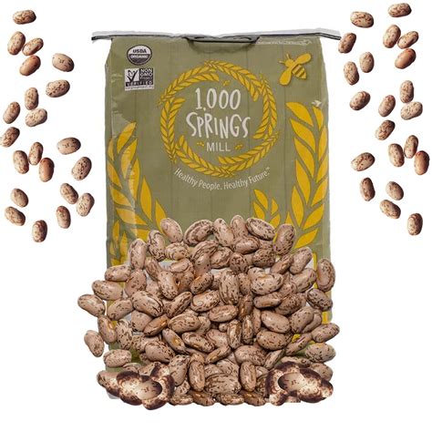 1000 Springs Mill Organic Pinto Beans Non Gmo Vegan Friendly Bulk Pinto Beans