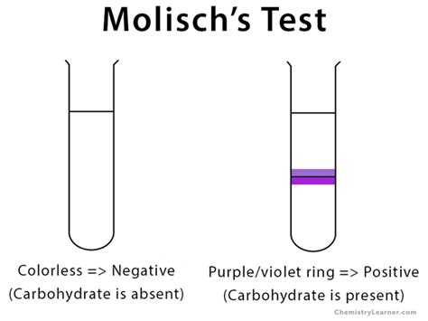 Molischs Test Definition Reaction Reagent And Procedure