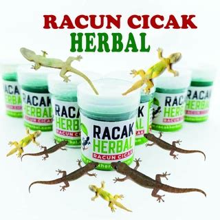 Jual RACAK RACUN CICAK HERBAL ORIGINAL PALING AMPUH PEMBASMI CICAK NO 1