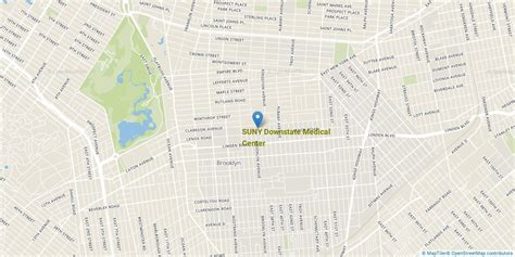 Suny Downstate Health Sciences University Healthcare Majors