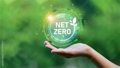 Net Zero Icon And Carbon Neutral Concept CO2 Net Zero Emission