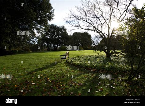 The gardens at Basildon Park, Berkshire. Basildon Park is one of the finest late 18th century ...