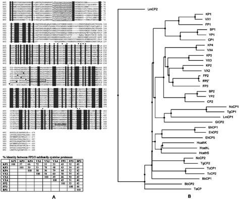 Sequence Alignment Of Knowpains A The Deduced Amino Acid Sequences Of