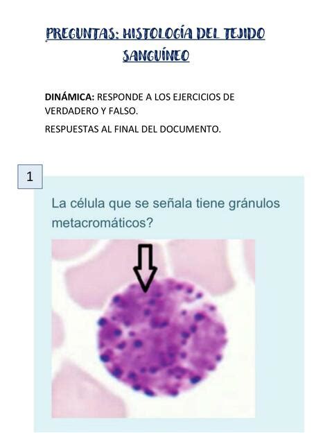 Cuestionario De Histolog A Del Tejido Sangu Neo Briggitte Yamil